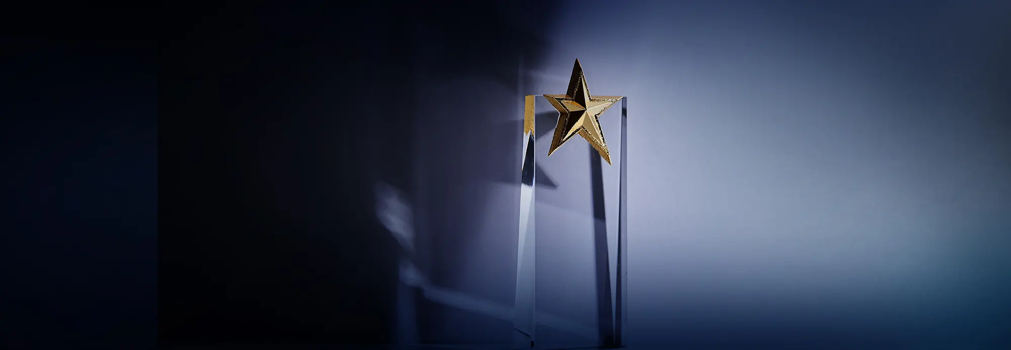 awards-year-all
